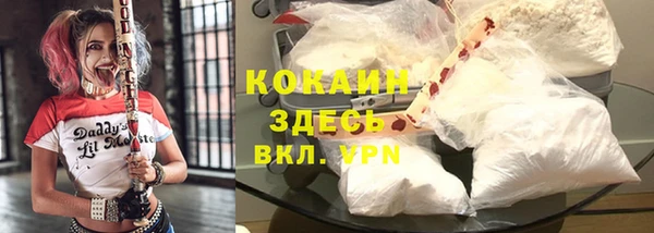 амф Алзамай