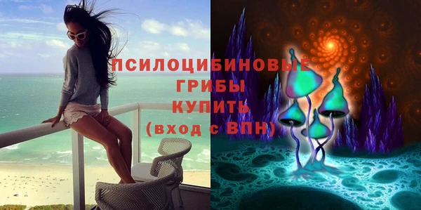 бошки Абдулино