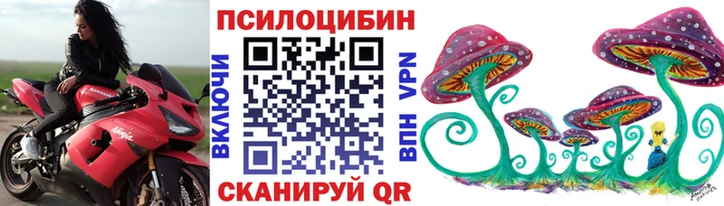 Галлюциногенные грибы Psilocybine cubensis как найти закладки OMG ССЫЛКА Курск