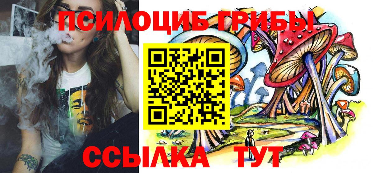 Галлюциногенные грибы Psilocybine cubensis  Вход с VPN  Псилоцибиновые грибы Psilocybine cubensis  Курск 