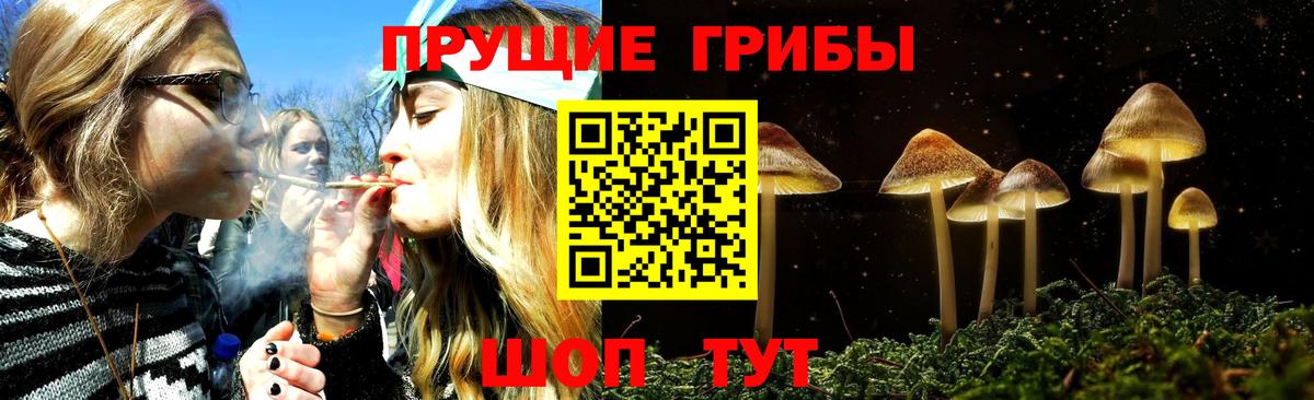 Псилоцибиновые грибы GOLDEN TEACHER Курск
